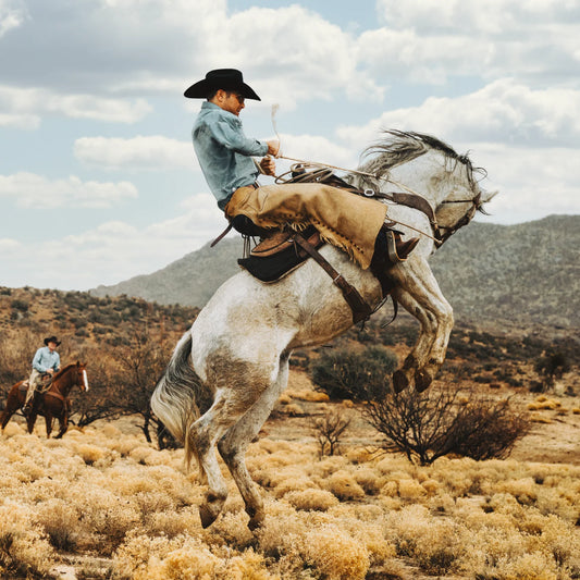 Cowboy Hat Skyline 6X Stetson