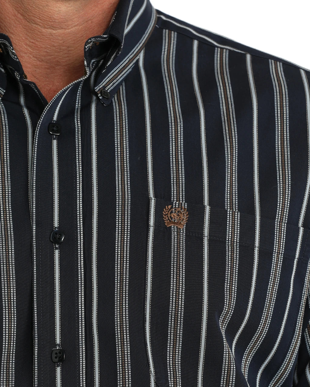 Men's Stripe Classic Fit Button Down Cinch