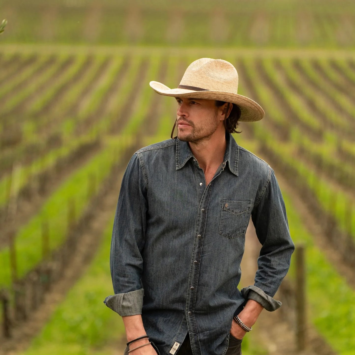 Western Hat Bryce Straw Stetson