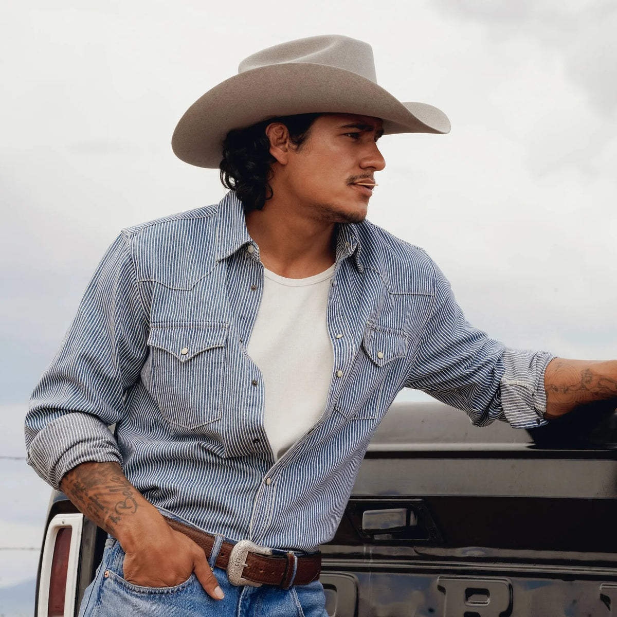 Cowboy Hat Falcon 6X Stetson