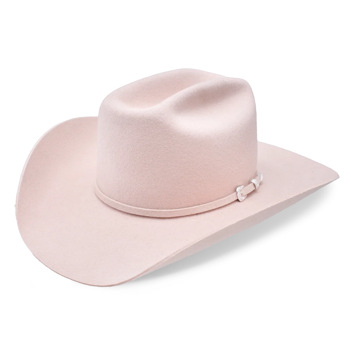Cowgirl Hat Charlie1 Horse