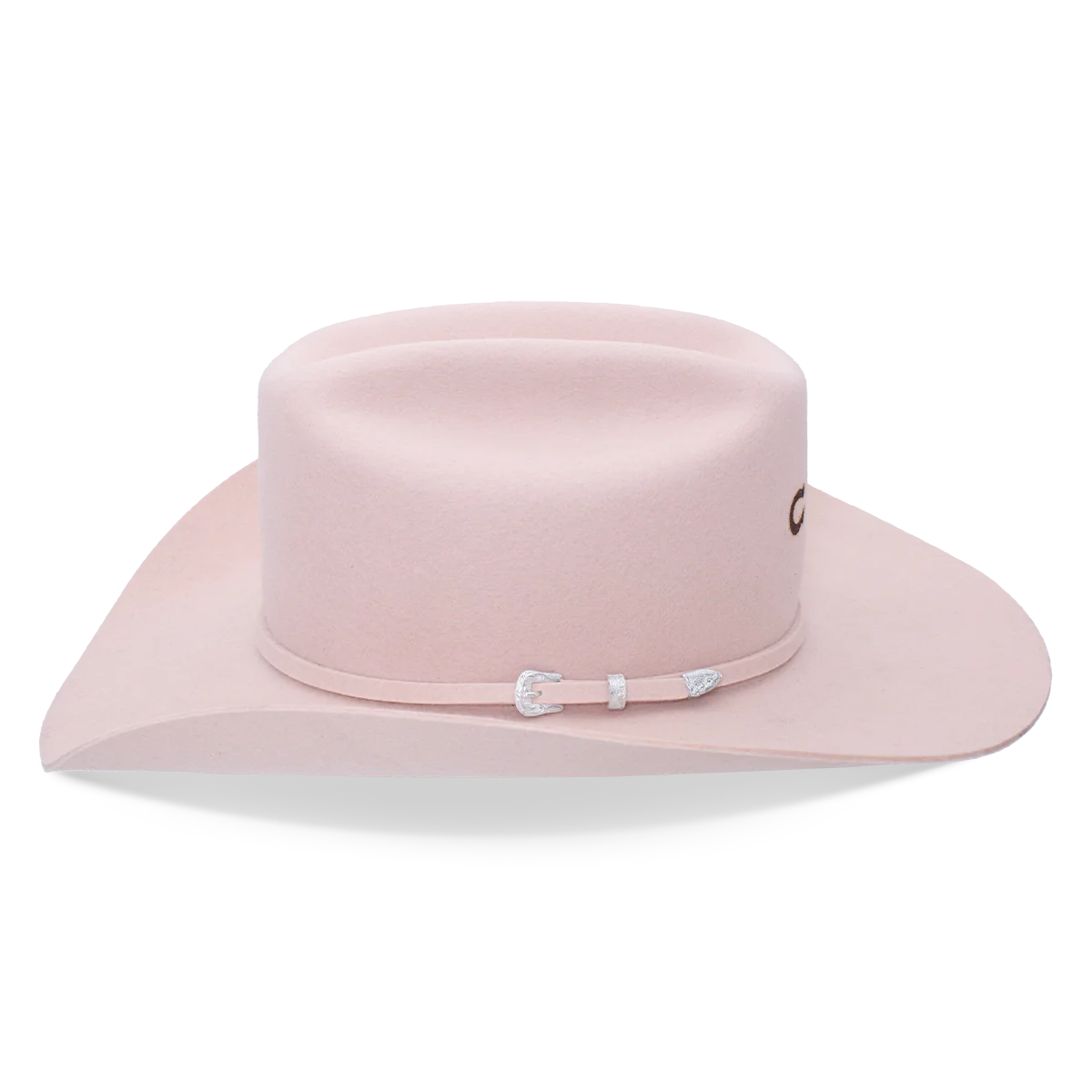 Cowgirl Hat Charlie1 Horse