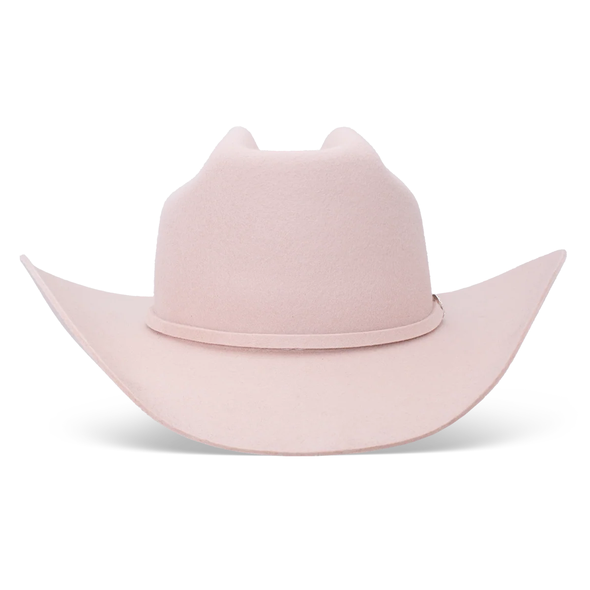 Cowgirl Hat Charlie1 Horse