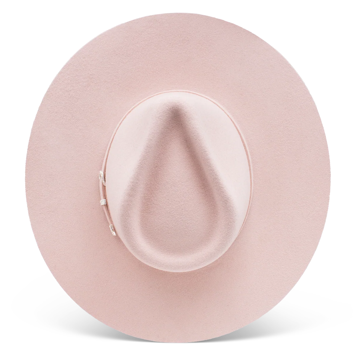 Cowgirl Hat Charlie1 Horse
