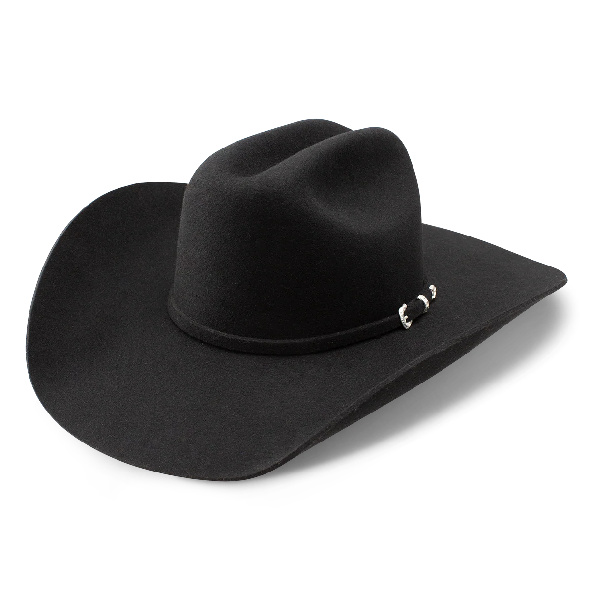 Cowgirl Hat Charlie1 Horse
