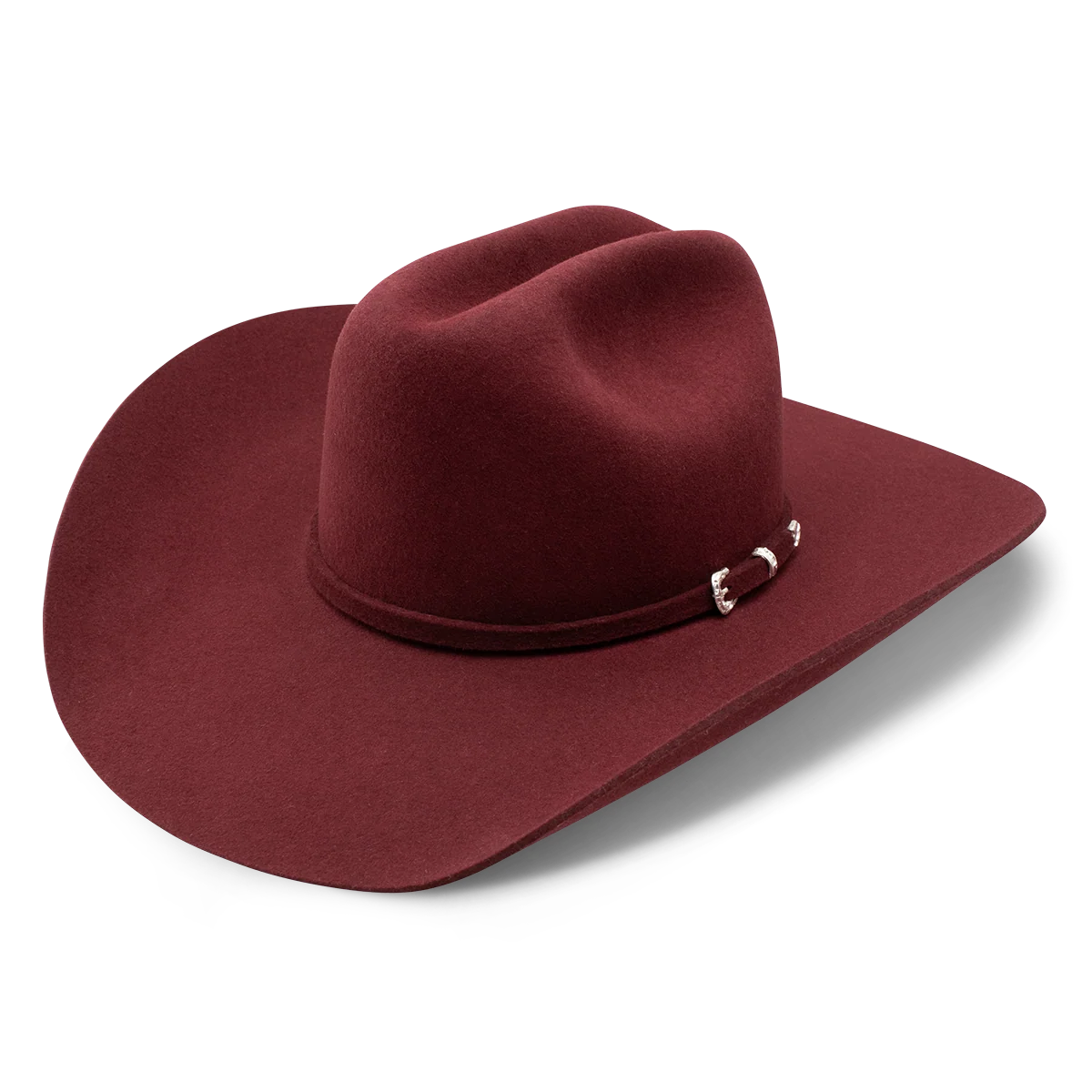 Cowgirl Hat Charlie1 Horse