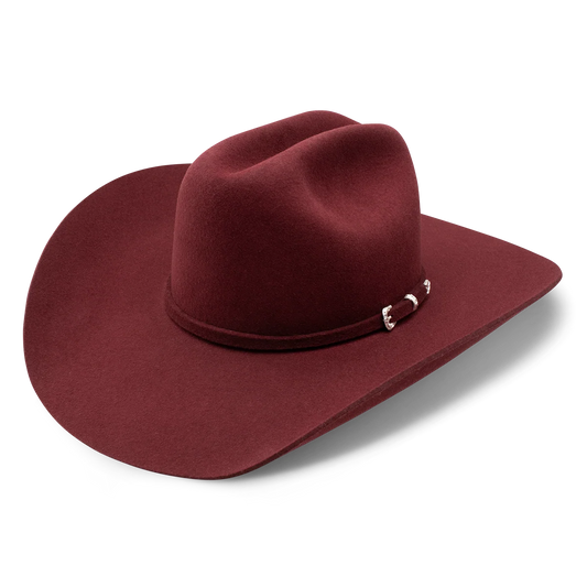 Cowgirl Hat Charlie1 Horse