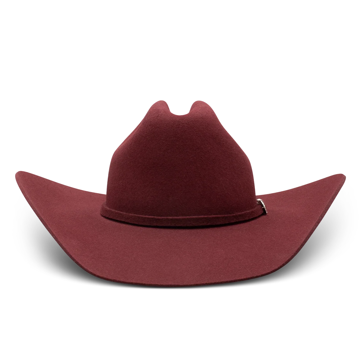 Cowgirl Hat Charlie1 Horse