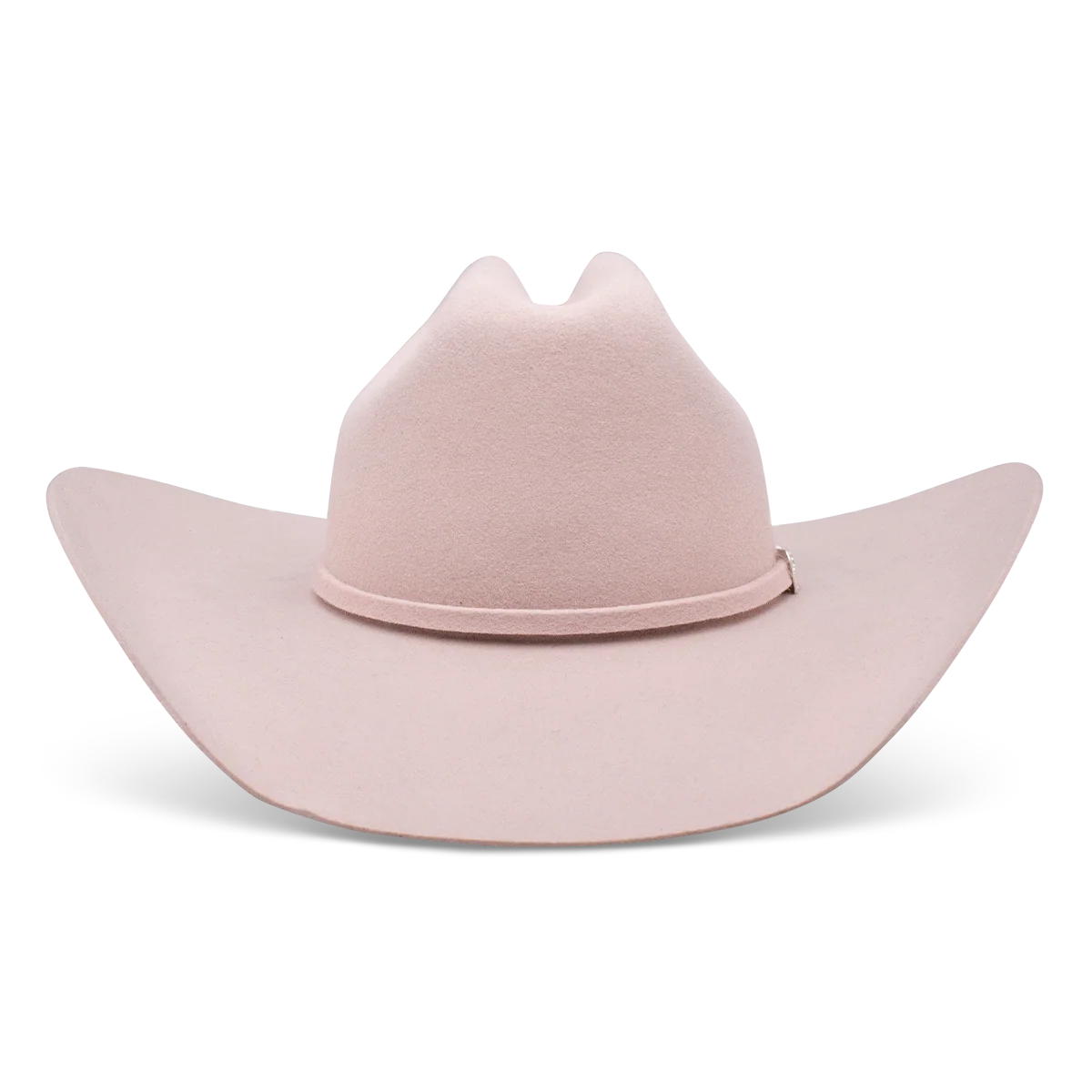Cowgirl Hat Charlie1 Horse