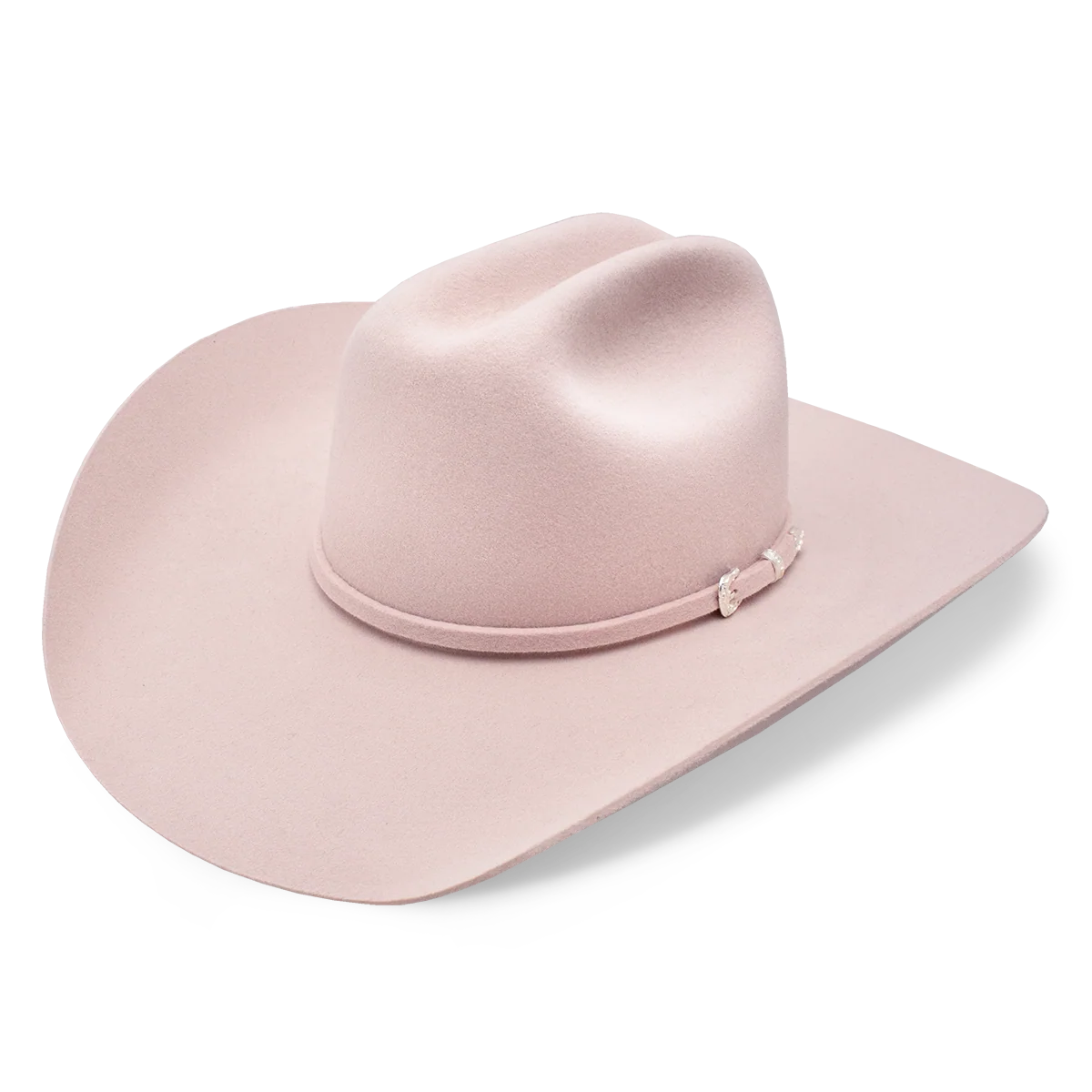 Cowgirl Hat Charlie1 Horse