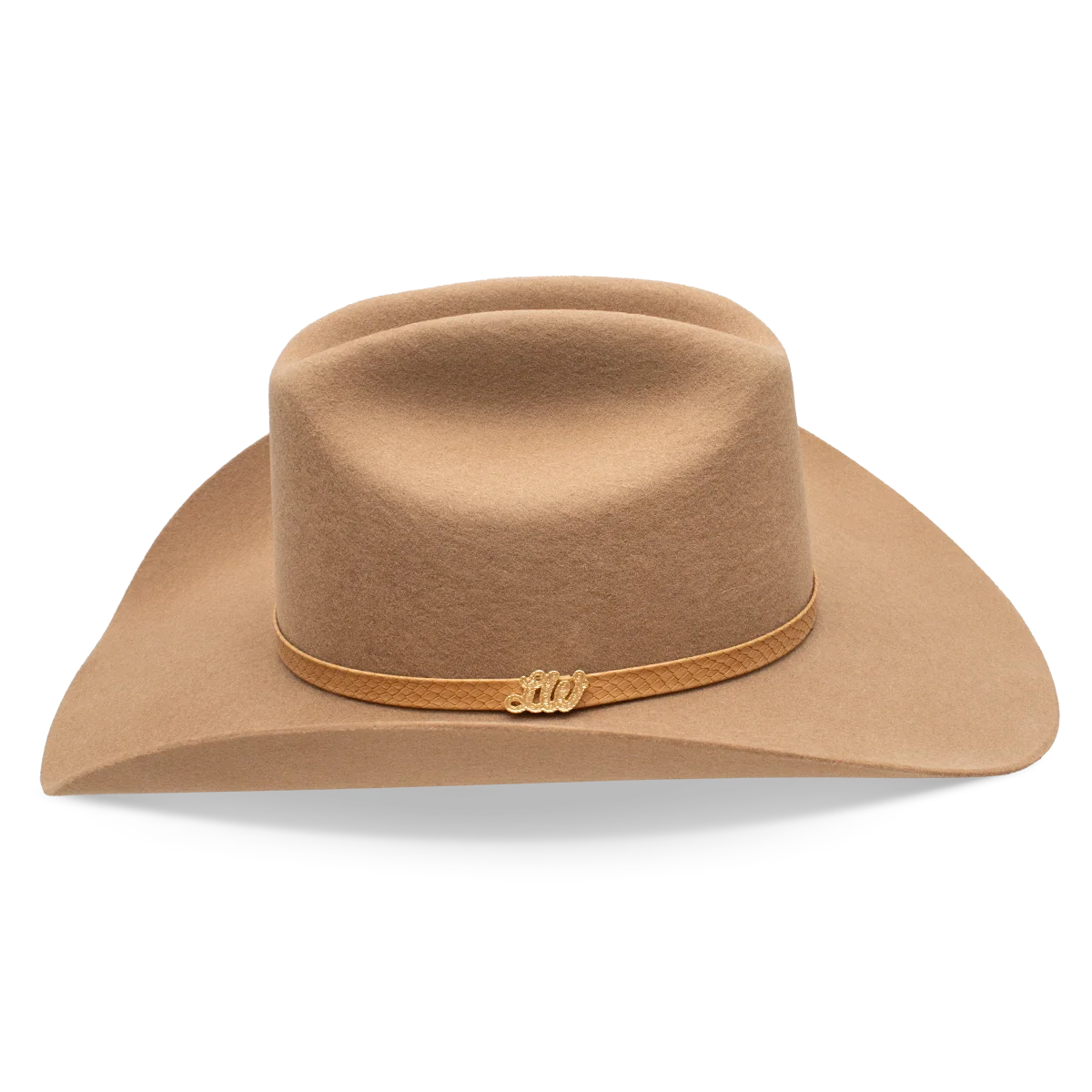 Cowboy Hat Delta Dawn Charlie1 Horse