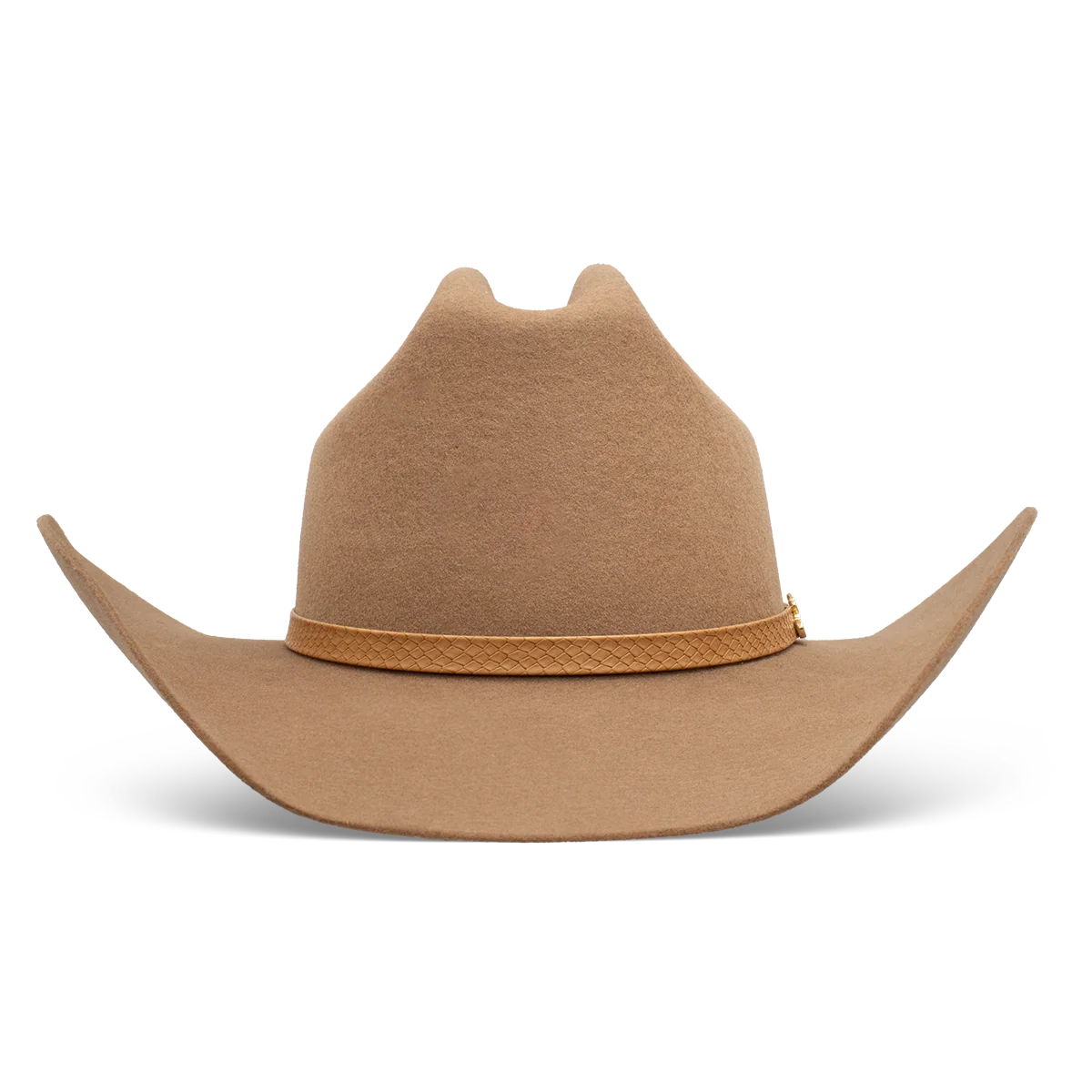 Cowboy Hat Delta Dawn Charlie1 Horse