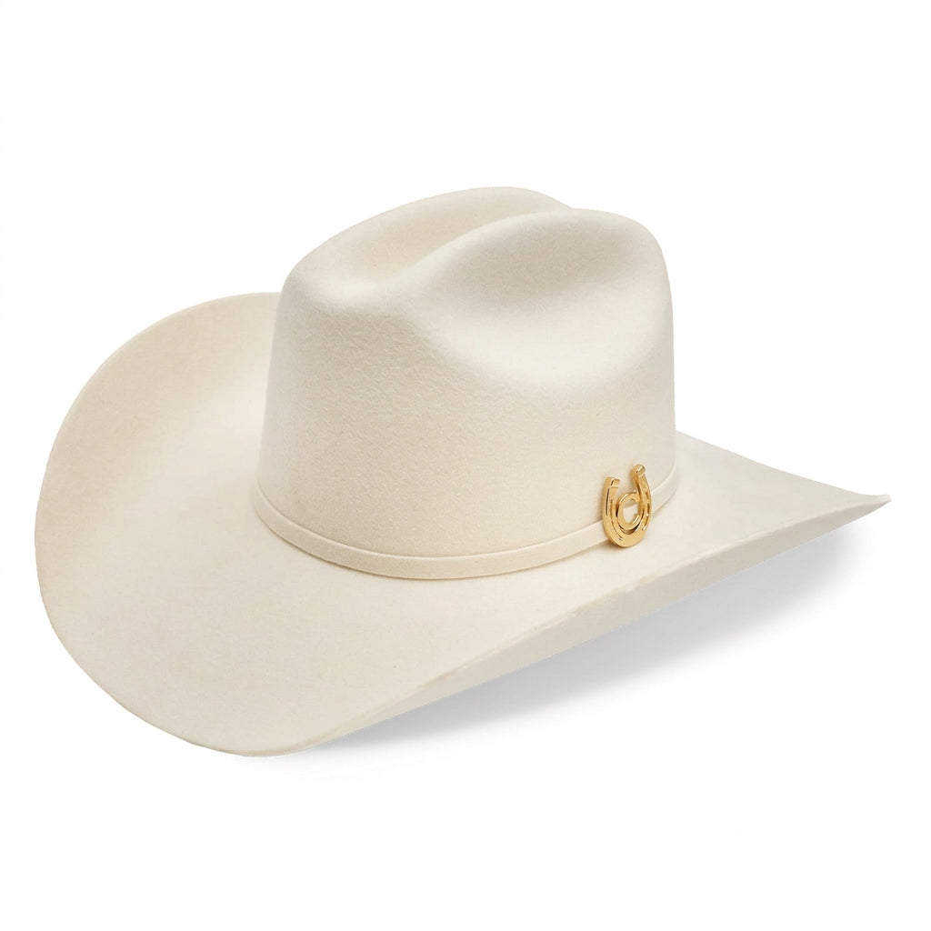 Cowboy Hat Spotlight Charlie1 Horse