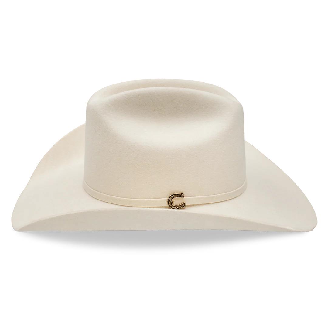 Cowboy Hat Spotlight Charlie1 Horse