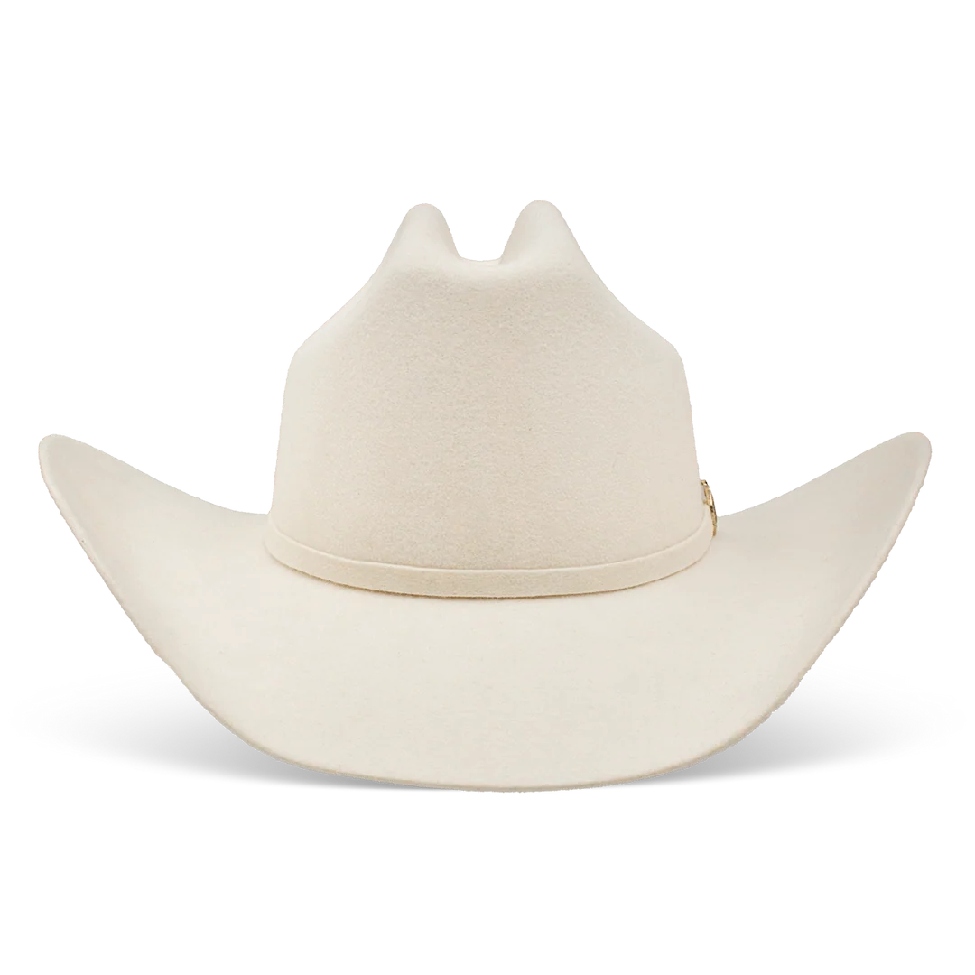 Cowboy Hat Spotlight Charlie1 Horse