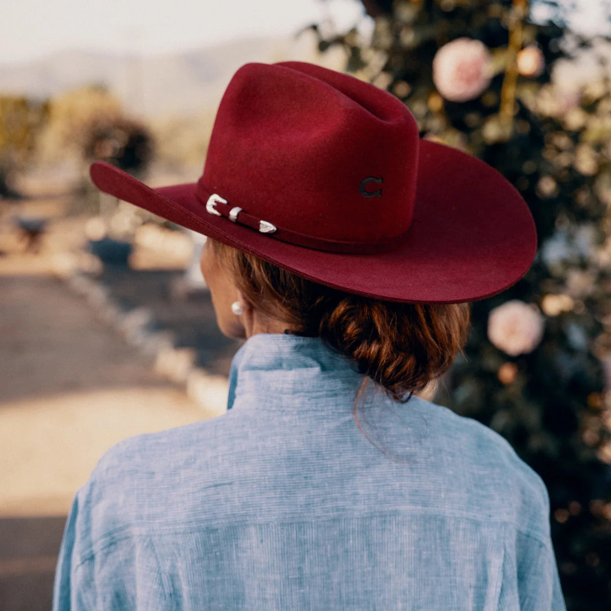 Cowgirl Hat Charlie1 Horse