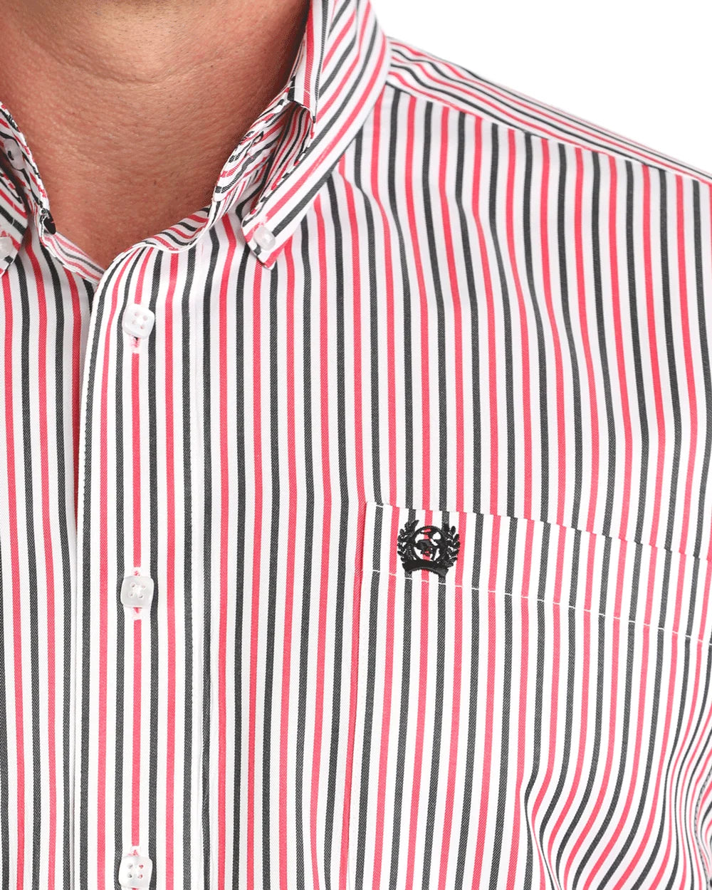 Men's Tencel Striped Button Down Cinch