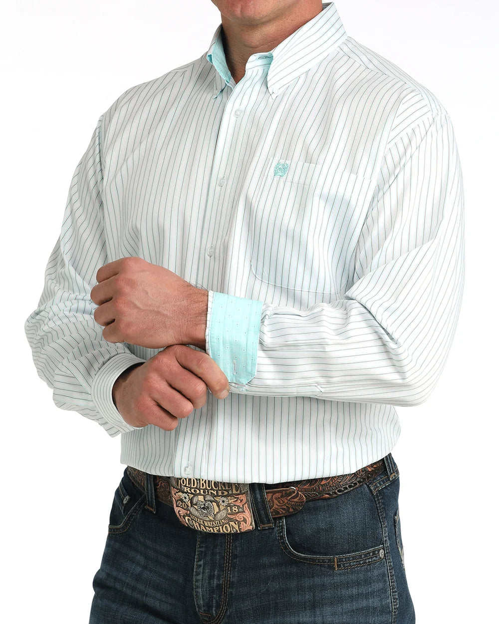 Men's Tencel Striped Button Down Cinch